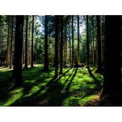 Small Iron Clock fr-FR